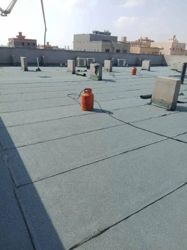 مؤسسة الفرسان المحترفين